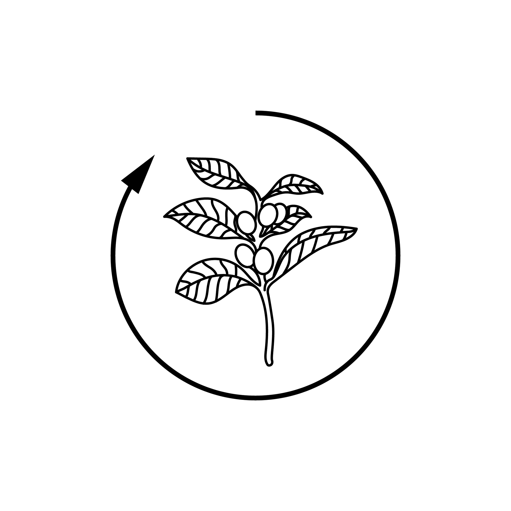 CLIMATE POSITIVE ORDER